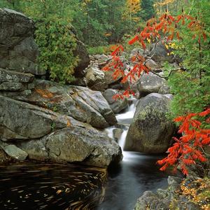 笑和质疑，与其生4头像