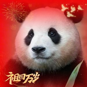 砖砖日常头像