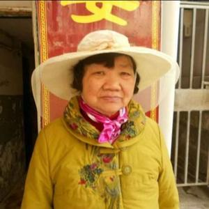 张惠贤张成泽孝母德安头像