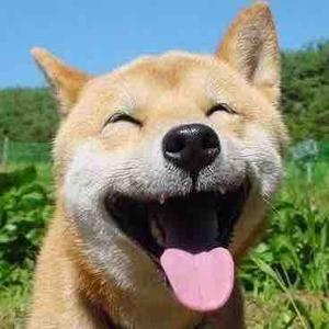 蚌蚌炸蛋头像