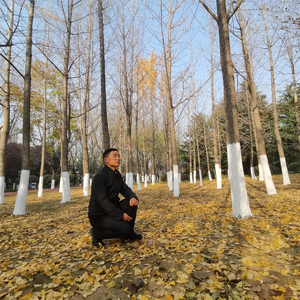 我的身体我做主头像