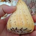 用户2863650771386头像