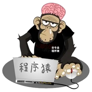 卡卡NPP头像