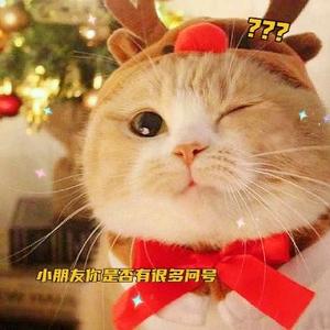 彩虹体育头像