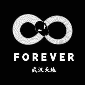 武汉FOREVER小龙头像