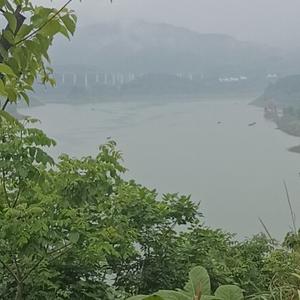 黑骨头天使头像