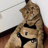 小先生赚大钱头像