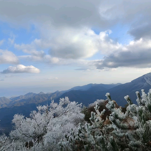 静听雪落头像