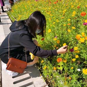 双子芬妮头像