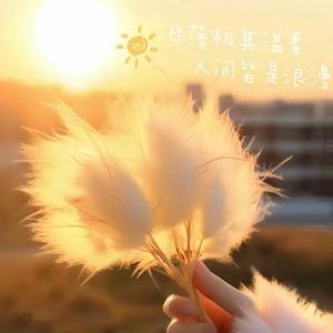 敏锐清风头像