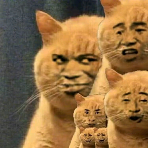 难崩君头像