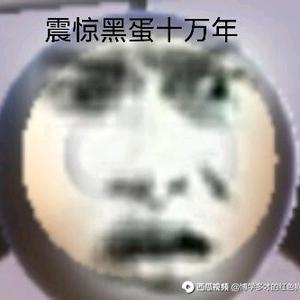 我最讨厌熊妹了头像