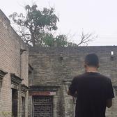 打游戏看风景头像