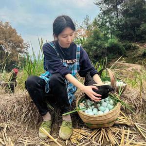 小象慢养跑山鸡头像