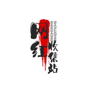 网红收集站头像
