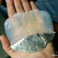 一丝不苟了头像