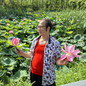贵友爱乐器头像