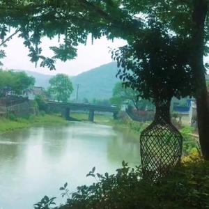 空山人语头像