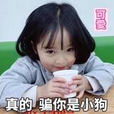 闲时之余头像