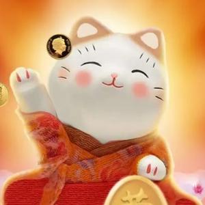 晓玥晨星头像