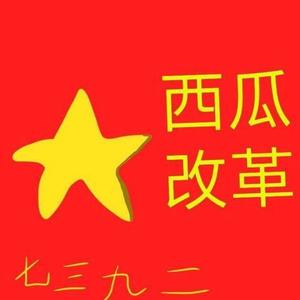 优雅影子大哥粉西瓜环境改革军头像