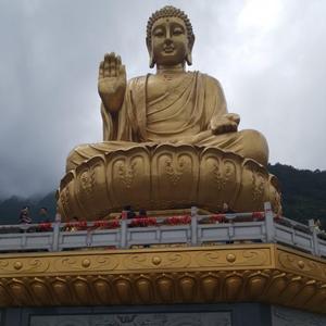 康8o8n头像