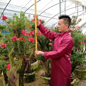 丽娜花木场头像