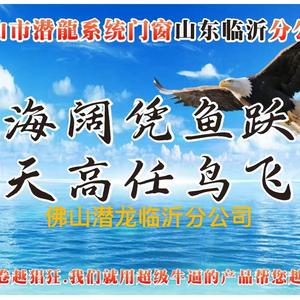 Aa佛山市潜龙门窗山东临沂分公司头像