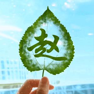 大唐龙族头像