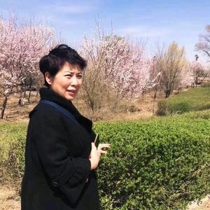 梦梦春霞头像