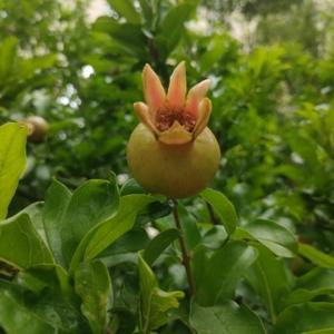 开心宝贝1381头像