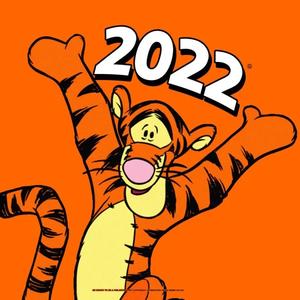 兜里有大白兔奶糖1007头像