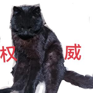 开朗战神250头像