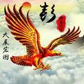 广场舞艺术团舞蹈表演头像