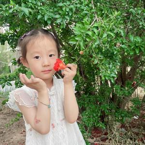 夏辞白头像