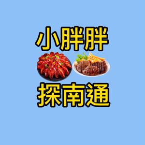 小胖胖探南通头像