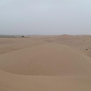 自由阿峰Afeng头像