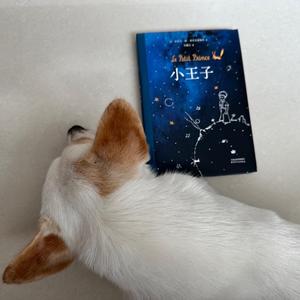 奶盖盖会读书 头像