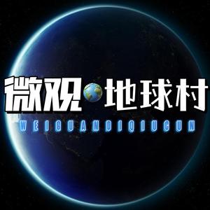 微观·地球村头像