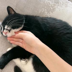 P站动漫头像