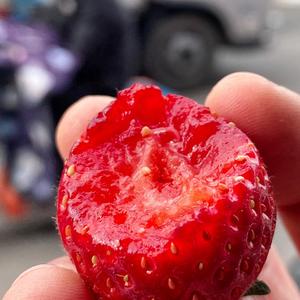 桔子熟了-水果只做应季自然熟头像