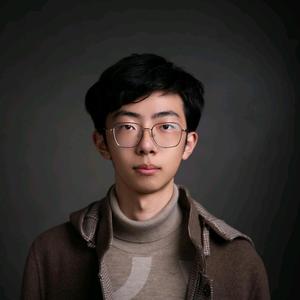 Oriwork火鸟头像