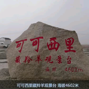 楼兰3500_(_^_)_头像