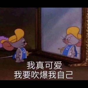 小匣子是我头像