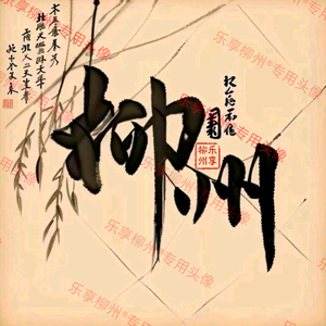 乐享柳州¹⁶⁸头像