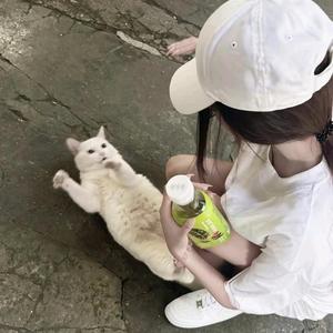 阿琛说头像
