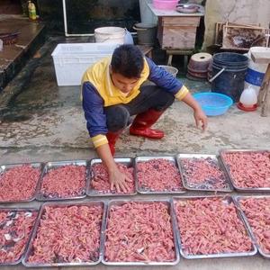 蛇类养殖阿勇头像