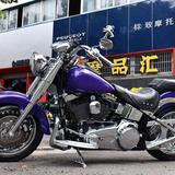 台州摩品汇小知头像