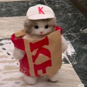 发财小猫meme头像