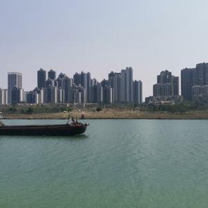 唐说海外头像